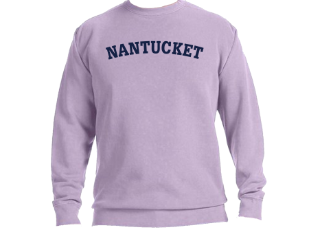 Nantucket Sweatshirt (Hydgrenga purple) Online Hot Sale